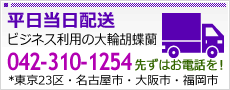 平日当日配送